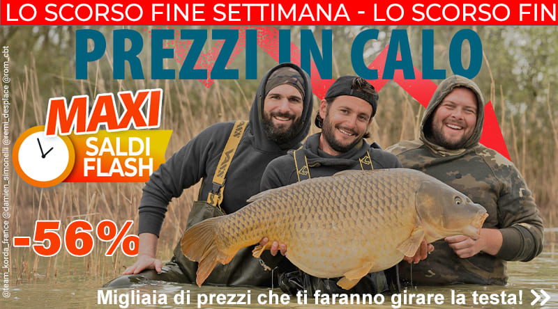 Prezzi in Calo
