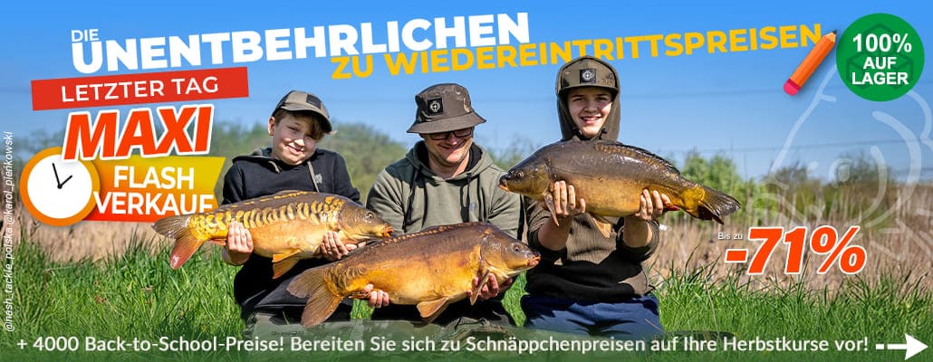 Für den Karpfen geht es zurück in die Schule