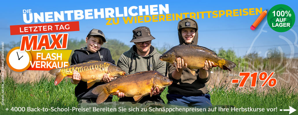 Für den Karpfen geht es zurück in die Schule