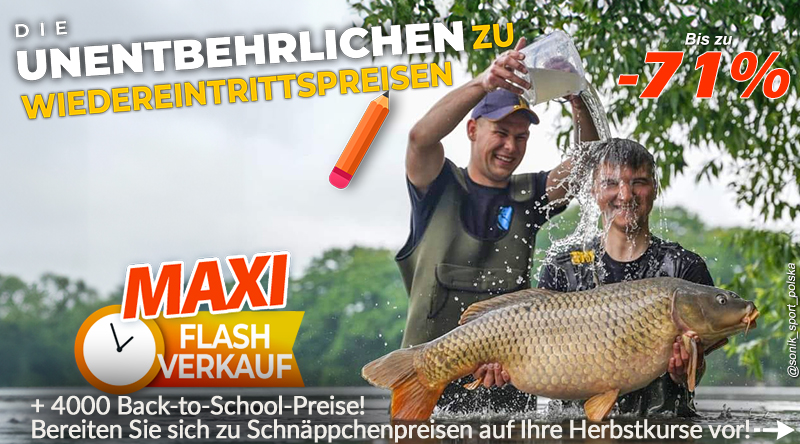 Für den Karpfen geht es zurück in die Schule