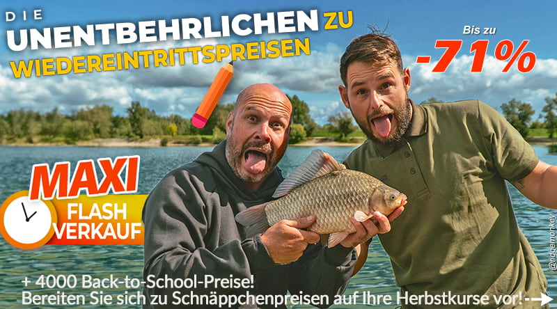 Für den Karpfen geht es zurück in die Schule