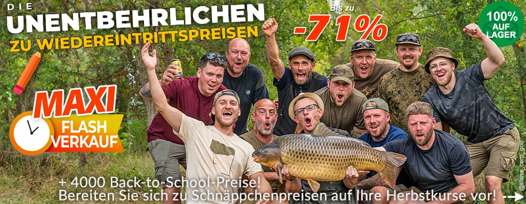 Für den Karpfen geht es zurück in die Schule