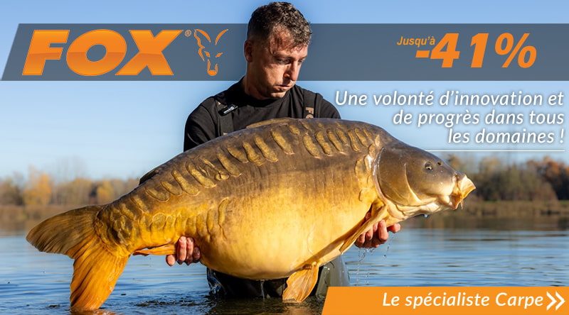 Lot de 5 Cages à Appâts pour Pêche à la Carpe (M) pratique Abilityshop