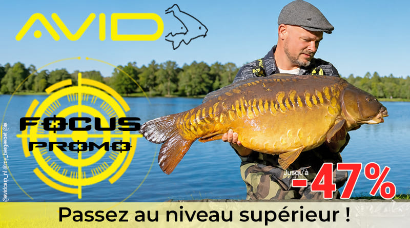 Focus Promo Avid Carp