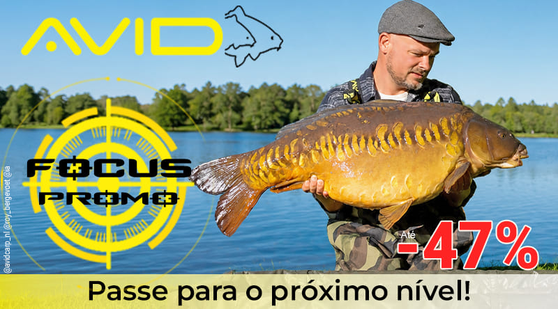 Focus Promo Avid Carp