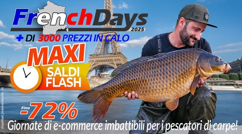 + 1000 cali di prezzo