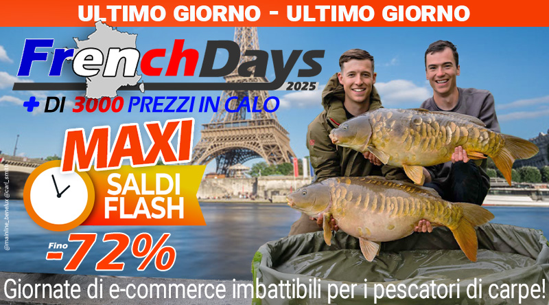 + 1000 cali di prezzo