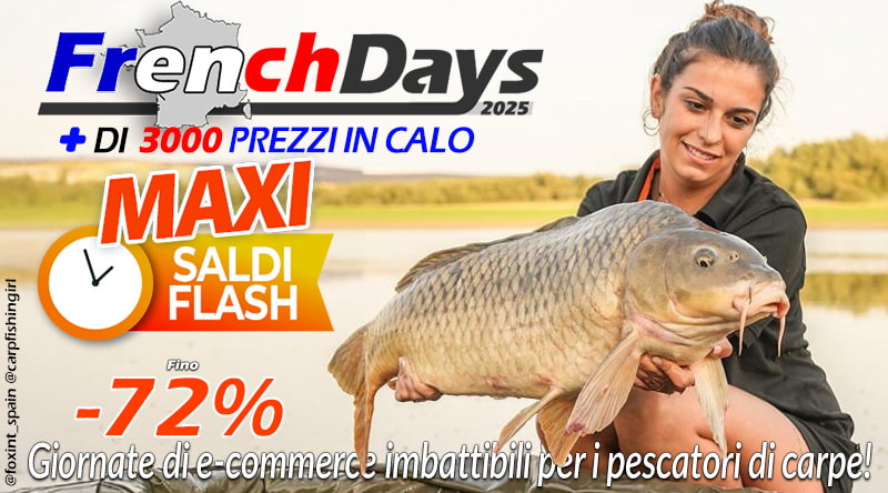 + 1000 cali di prezzo