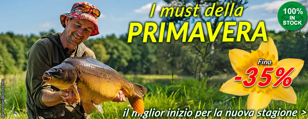 I must della Primavera