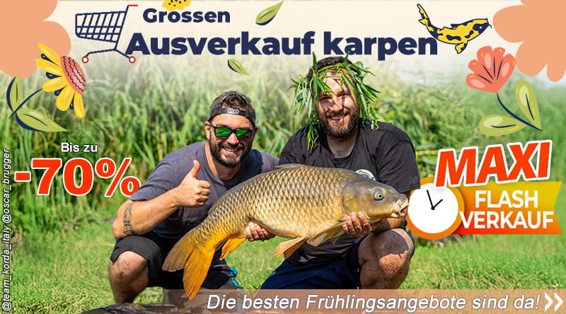 Groosen Ausverkauf karpen