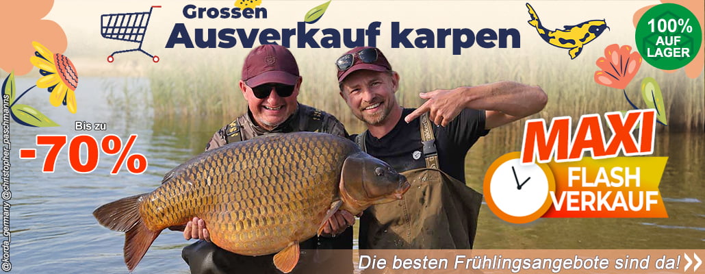 Groosen Ausverkauf karpen