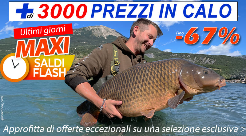 + 3000 cali di prezzo
