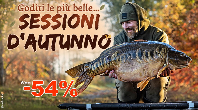 Sessions d'automne