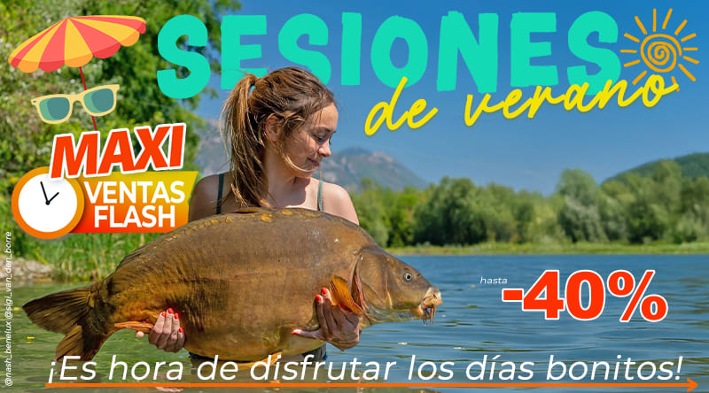 Sesiones de Verano