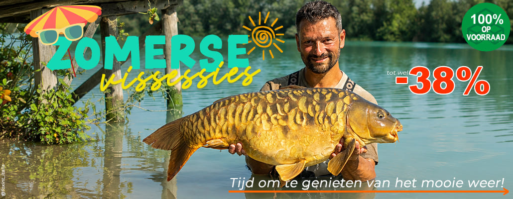 Zomer visreis